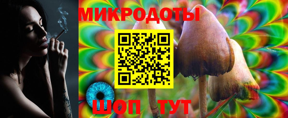 Нижний Новгород  Псилоцибиновые грибы мухоморы  Вход с VPN 